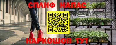 ГАЛЛЮЦИНОГЕННЫЕ ГРИБЫ Берёзовский