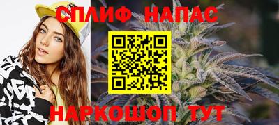 ГАЛЛЮЦИНОГЕННЫЕ ГРИБЫ Берёзовский