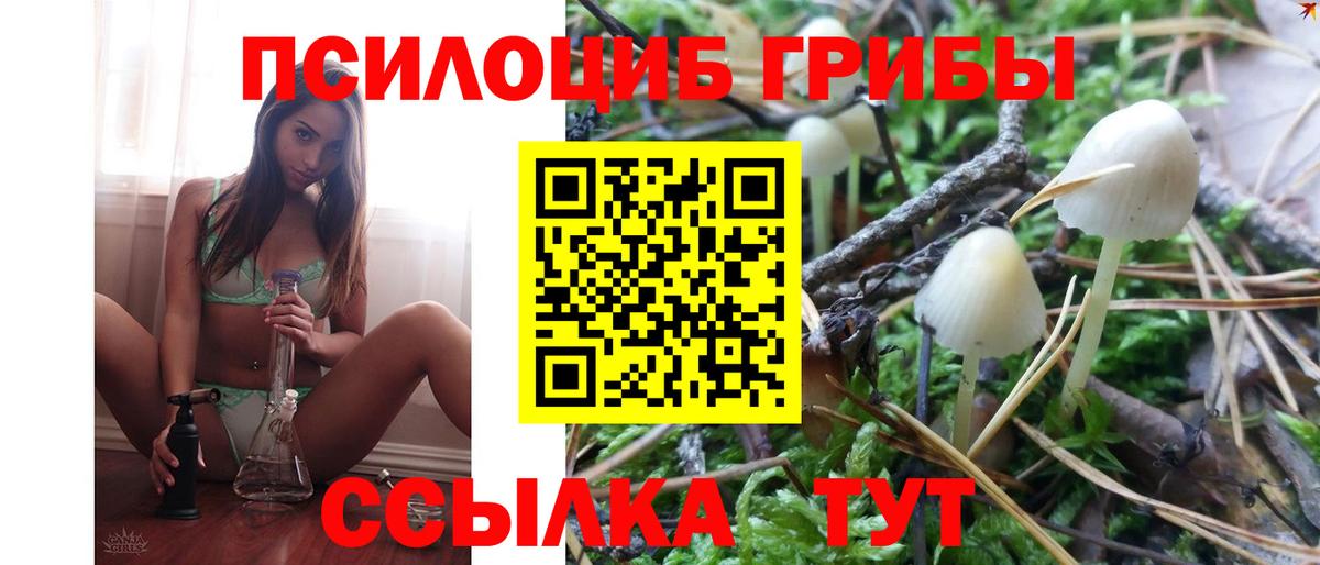 Когалым  Галлюциногенные грибы Magic Shrooms  даркнет сайт  Вход с VPN 